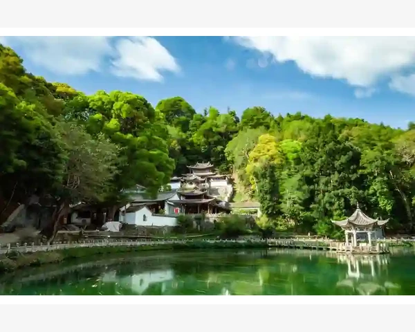 夏季驱寒炖品，温暖身心释放清凉