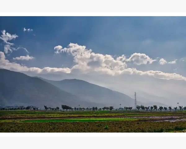 冬季怎样润肺化痰呢？