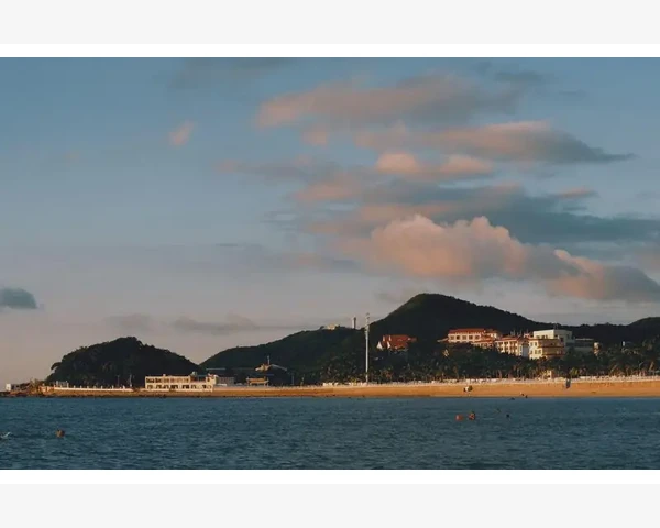 山东会计证年审操作流程与注意事项